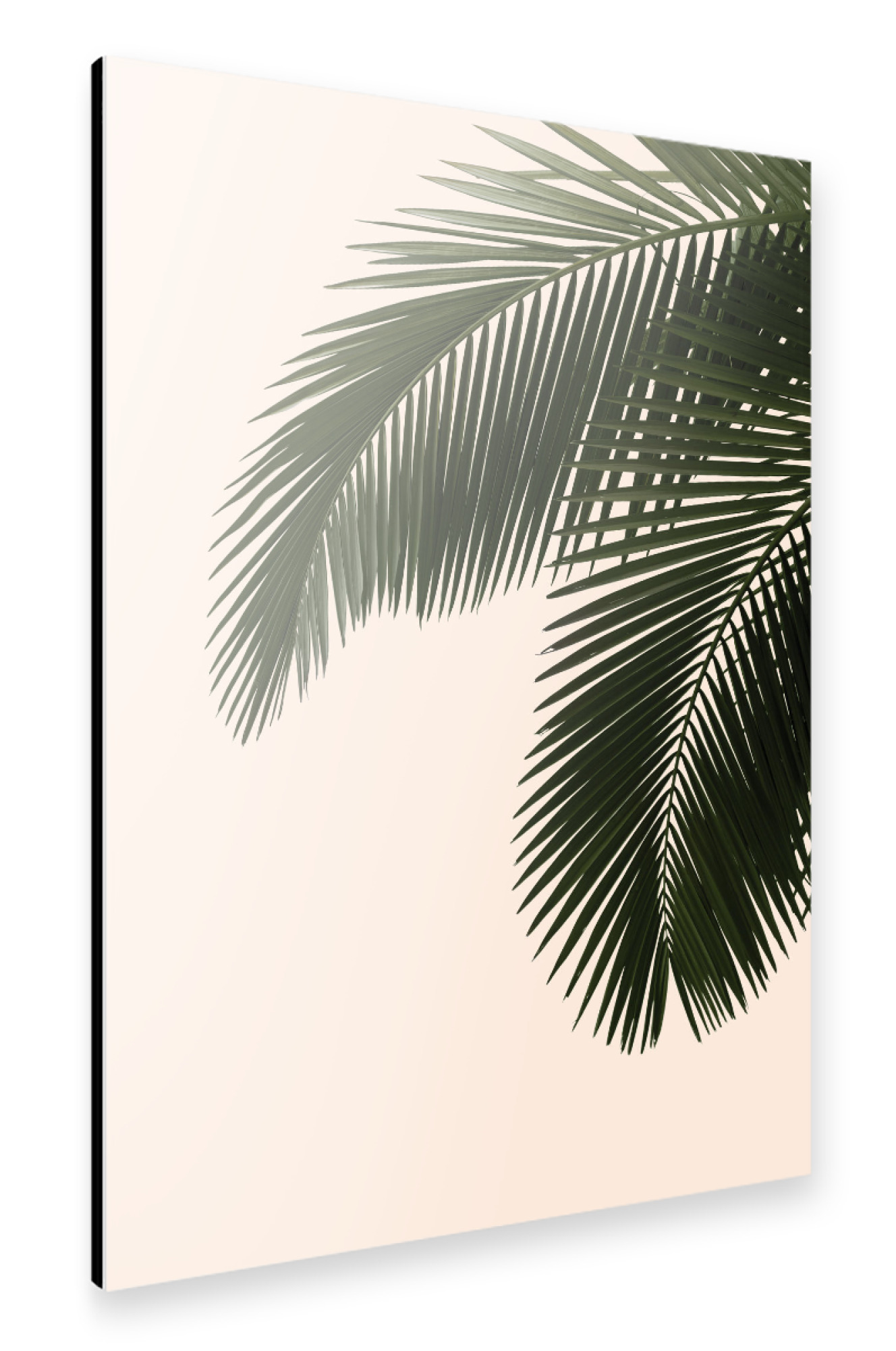 Alu-Dibond "Palm leaf photography" 30x20 cm artboxONE