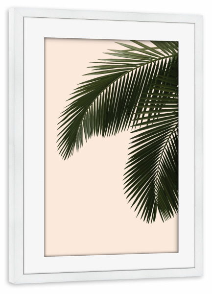 Poster mit Rahmen weiß "Palm leaf photography" artboxONE - Floral,Reise / Strand und Meer - Palme,Palmblatt,Palme