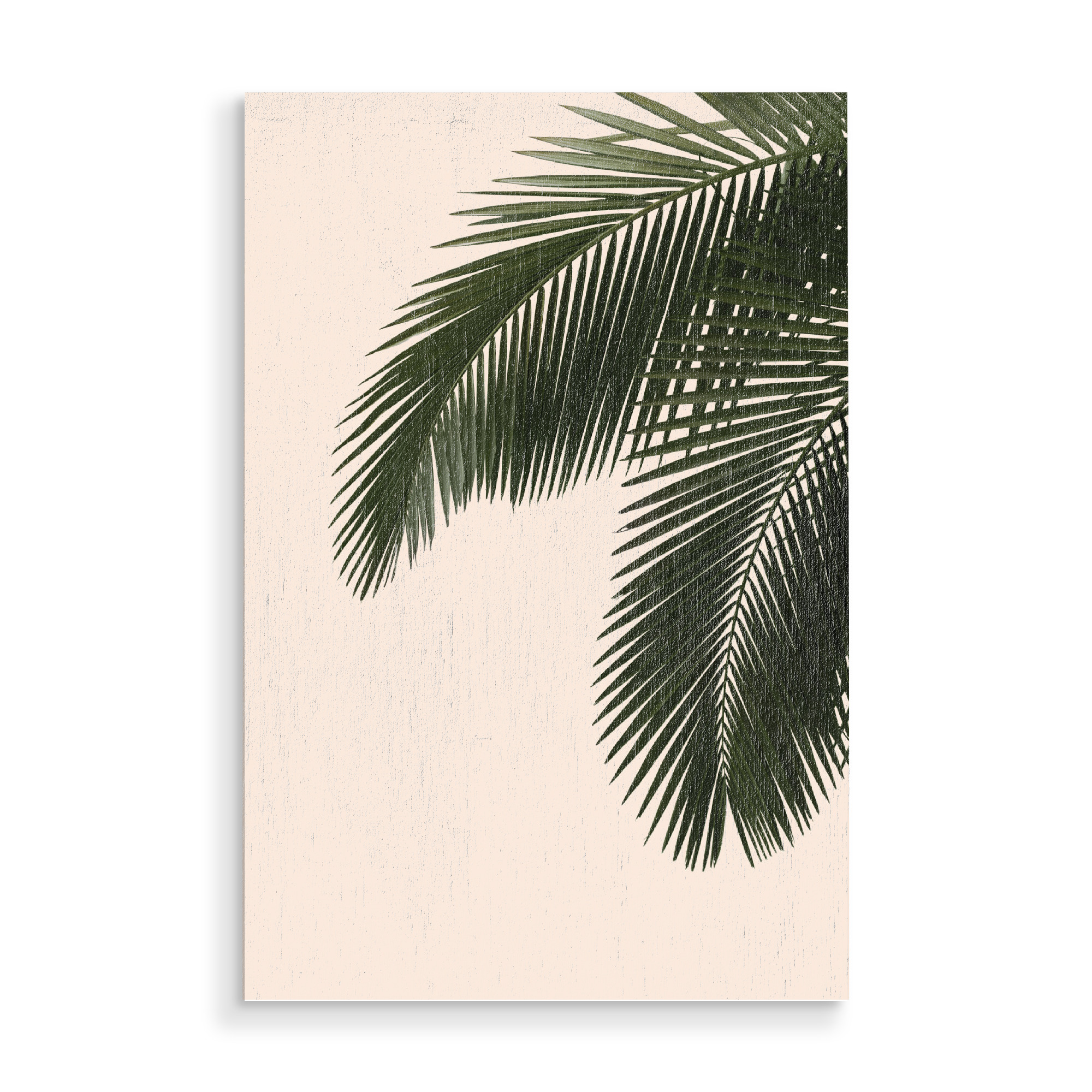 Holzbild "Palm leaf photography" artboxONE - Floral,Reise / Strand und Meer - Palme,Palmblatt,Palme