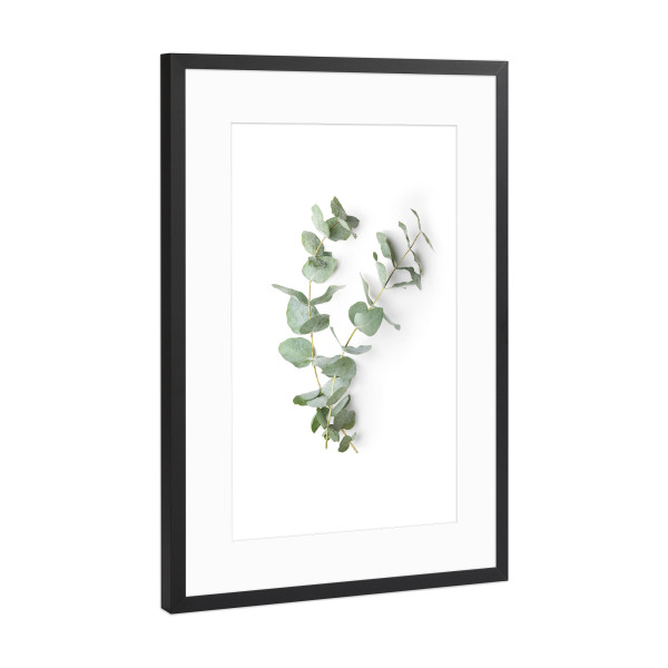 Poster mit Rahmen Schwarz (Metallic) "Eucalyptus Photography" artboxONE - Natur,Floral
