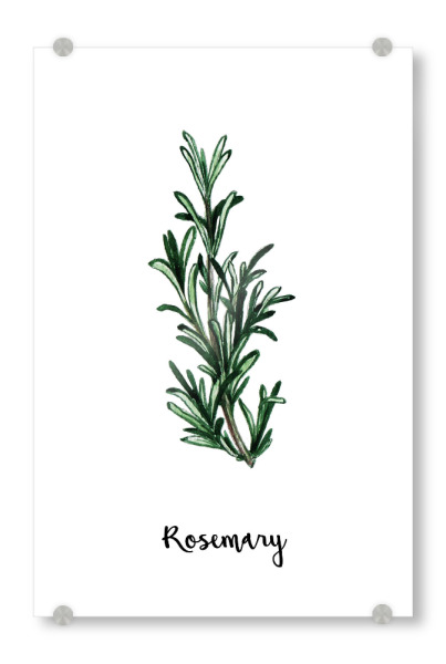 Acrylglasbild "Rosemary" artboxONE - Natur,Floral,Für Mama,Essen & Trinken / Obst & Gemüse