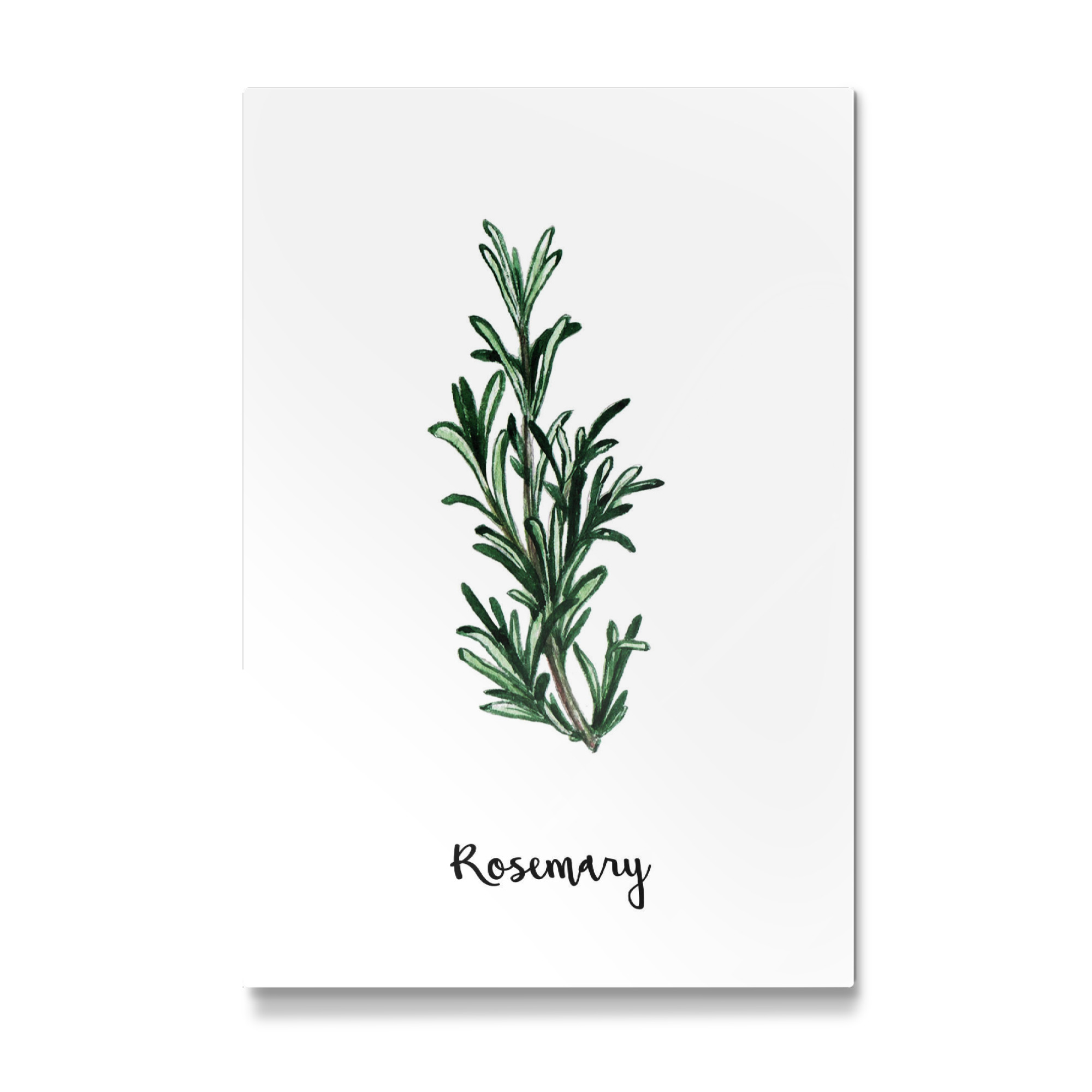 Galerie-Print "Rosemary" 75x50 cm artboxONE