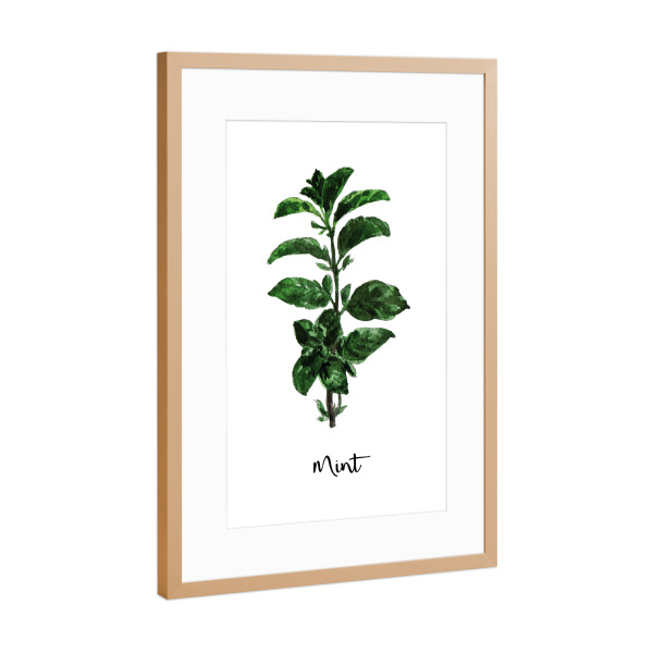 Poster mit Rahmen Kupfer "Mint Illustration" artboxONE - Essen & Trinken - Kräuter,Gewürze,Minze