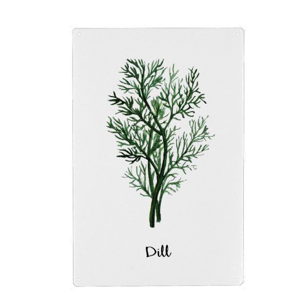 Holzbild "Dill Illustration" artboxONE - Floral - Herb,Spices,Dill