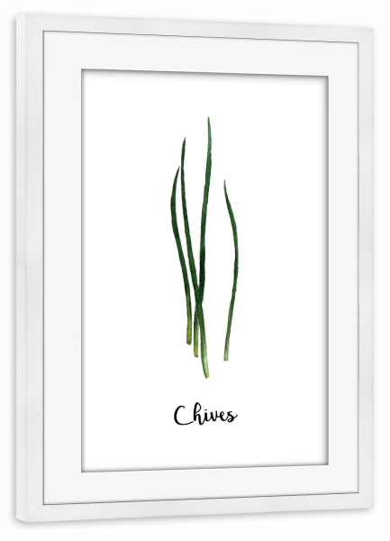 Poster mit Rahmen weiß "Chives" artboxONE - Essen & Trinken - Herb,Spices,Chives