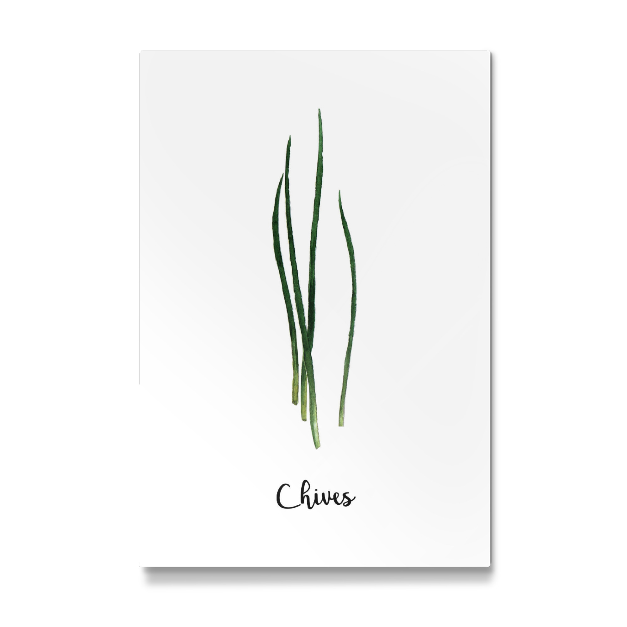 Galerie-Print "Chives" 75x50 cm artboxONE