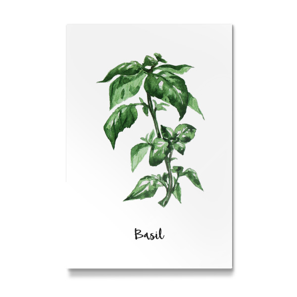 Galerie-Print "Basil" 30x20 cm artboxONE