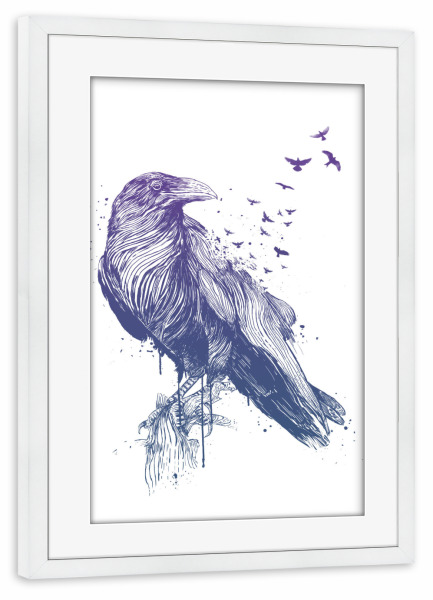Poster mit Rahmen weiß "Born to be free" artboxONE - Tiere - Bird,Animal,Raven