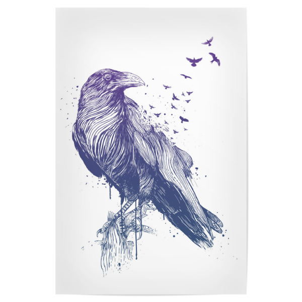 Poster 30x20 cm "Born to be free" artboxONE - Tiere - Bird,Animal,Raven