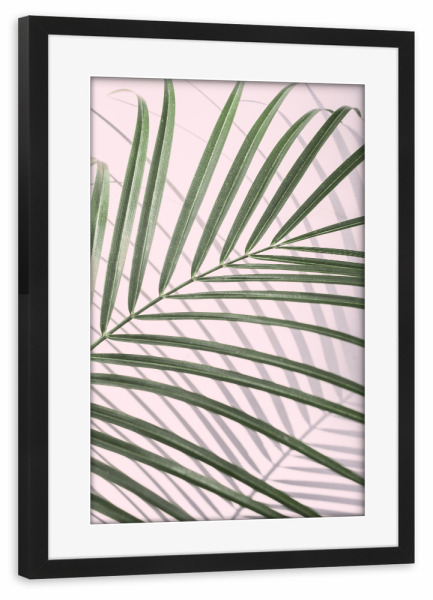 Poster mit Rahmen schwarz "Rosé Palm Leaf" artboxONE - Floral - Palm,Leaf,Leaves,Palme,Blatt,Blätter