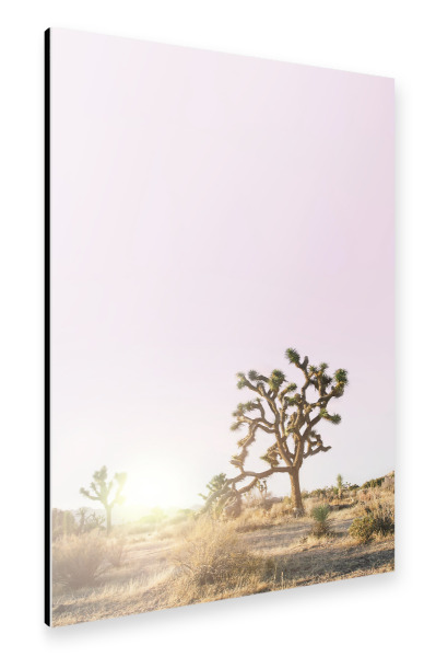 Alu-Dibond "Pink Joshua Tree" 30x20 cm artboxONE