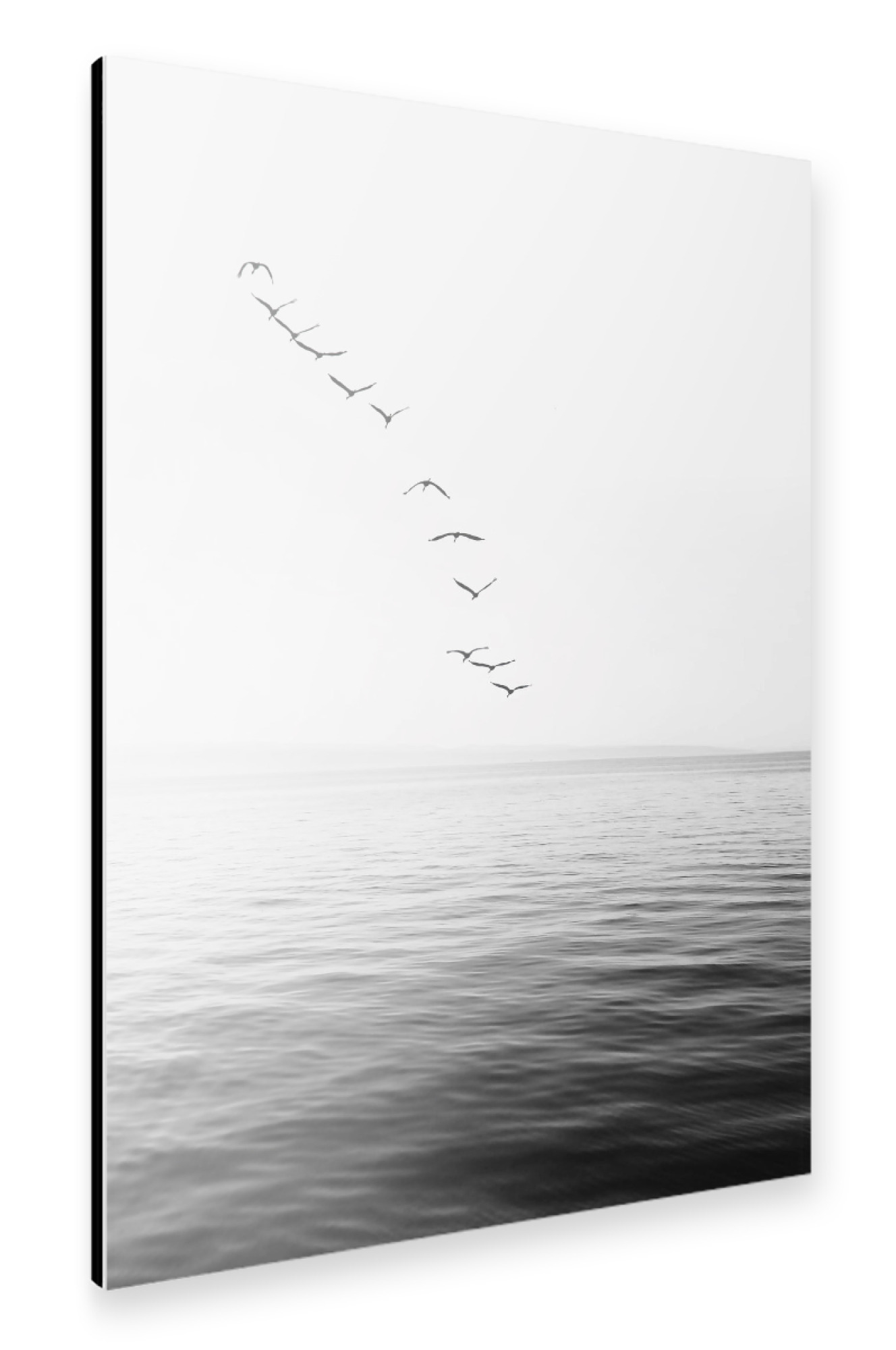 Alu-Dibond "Birds above the Ocean" 30x20 cm artboxONE