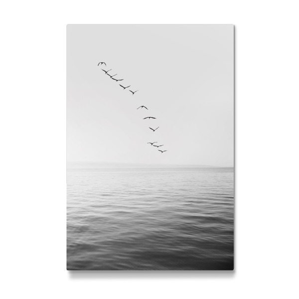 Galerie-Print "Birds above the Ocean" 30x20 cm artboxONE