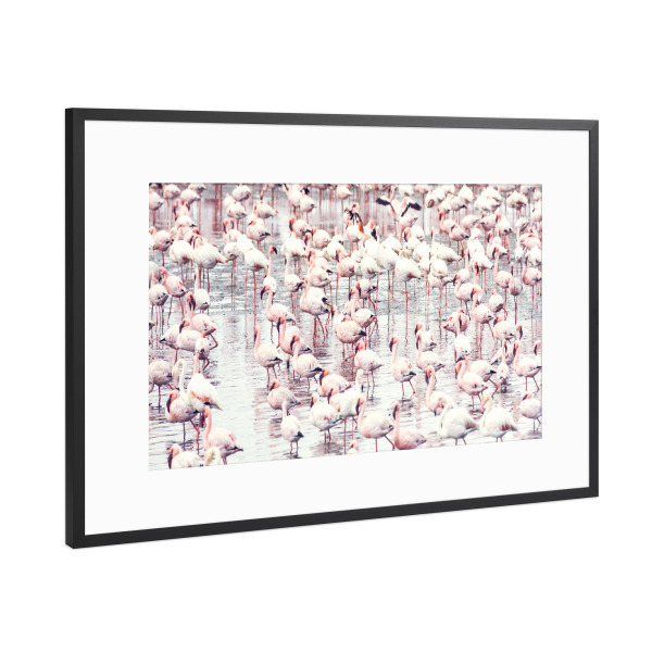 Poster mit Rahmen Schwarz (Metallic) "Flamingoflock" artboxONE - Tiere - Flamingo,Tier