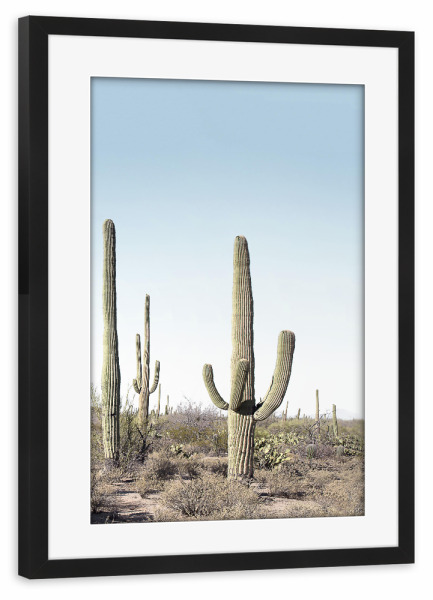 Poster mit Rahmen schwarz "Cactus Two" artboxONE - Natur - Kaktus,Wüste