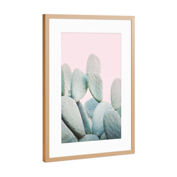 Poster mit Rahmen Kupfer "Pastel Cactus Pink" artboxONE - Floral - Cactus,Kaktus,Succulent