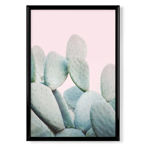 Pastel Cactus Pink