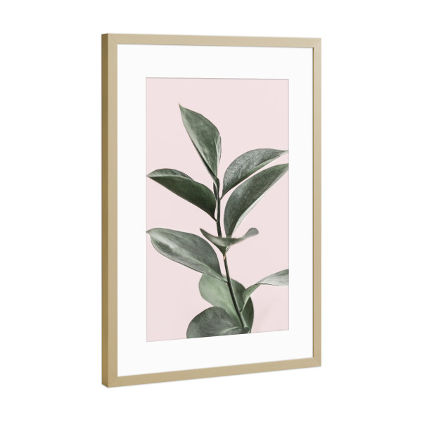 Poster mit Rahmen Gold "Foliage" artboxONE - Floral - Foliage,Plant,Leaf,Leaves,Blatt,Blätter
