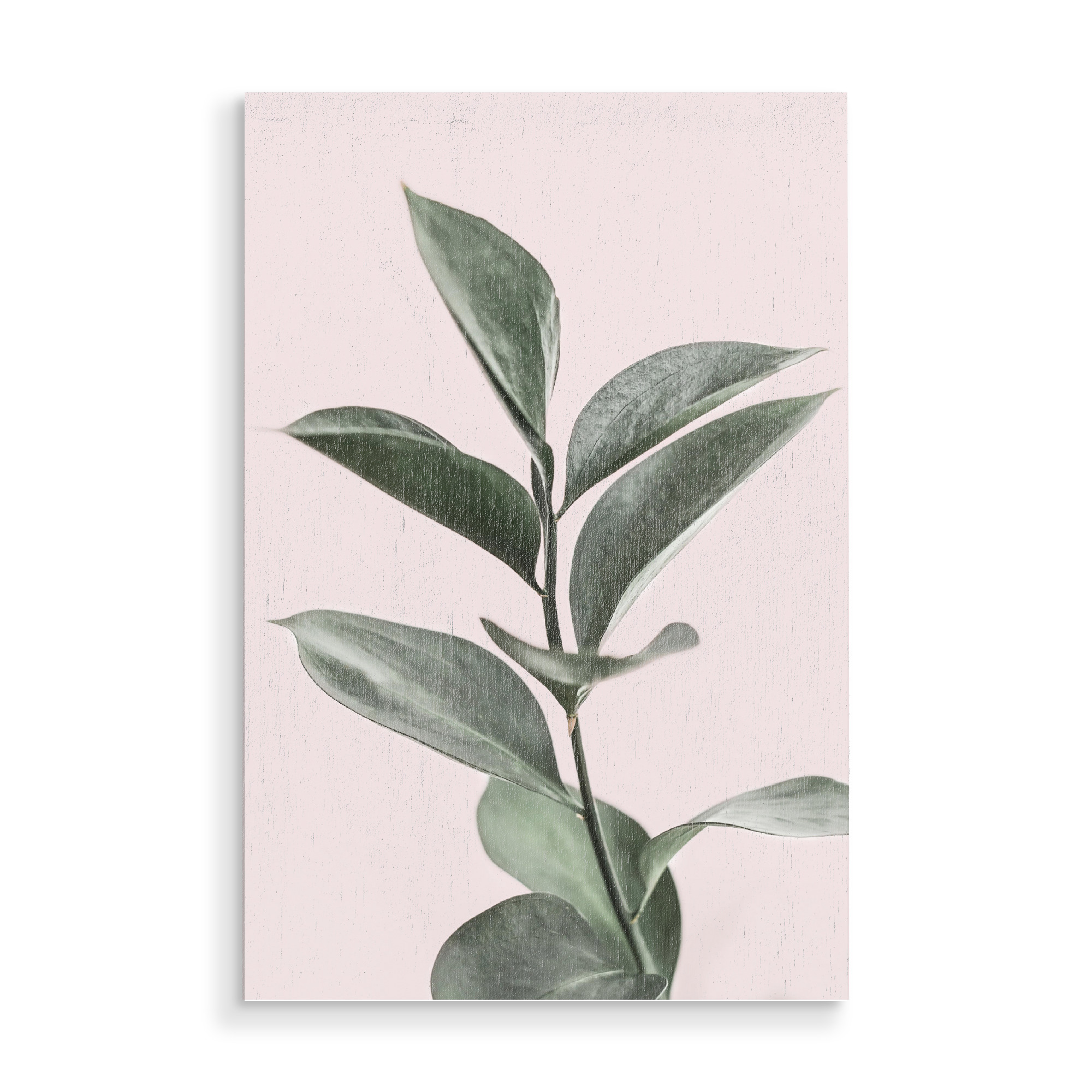 Holzbild "Foliage" artboxONE - Floral - Foliage,Plant,Leaf,Leaves,Blatt,Blätter