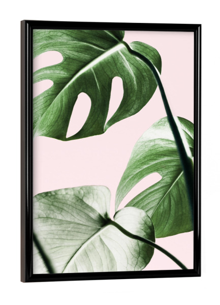 Poster mit schwarzem Rahmen "Tropical Monstera" artboxONE - Floral - Monstera,Leaf,Leaves