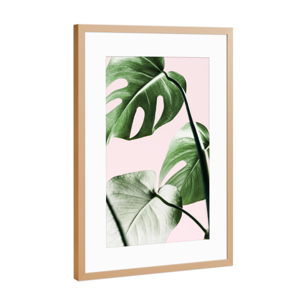Poster mit Rahmen Kupfer "Tropical Monstera" artboxONE - Floral - Monstera,Leaf,Leaves