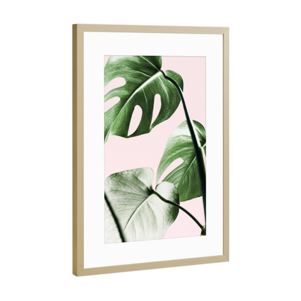 Poster mit Rahmen Gold "Tropical Monstera" artboxONE - Floral - Monstera,Leaf,Leaves