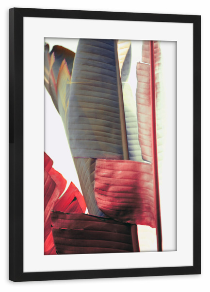 Poster mit Rahmen schwarz "Urban jungle contrast" artboxONE - Natur,Reise,Floral - Palme,Palm,Banana,Jungle,Blätter,Tropical,Pflanze