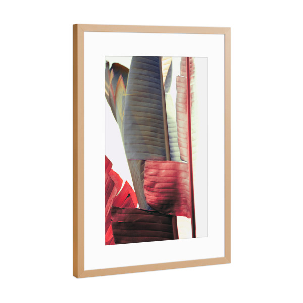 Poster mit Rahmen Kupfer "Urban jungle contrast" artboxONE - Natur,Reise,Floral - Palme,Palm,Banana,Jungle,Blätter,Tropical,Pflanze