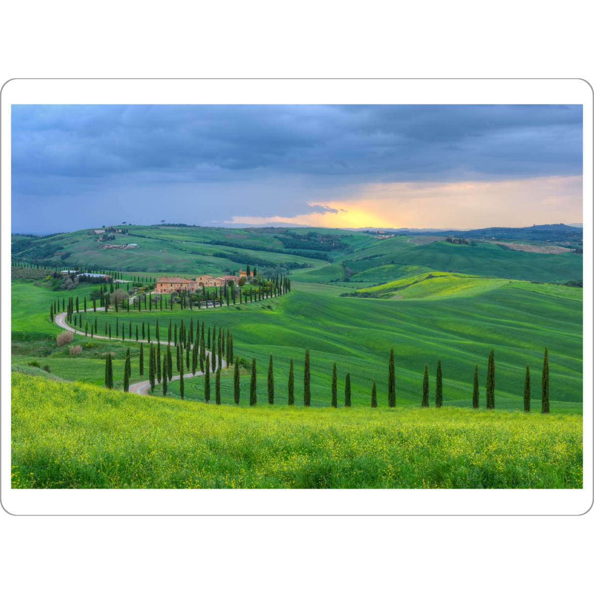 Tischset "Landgut in der Toskana" artboxONE - Natur,Reise,Reise / Länder - Toskana,Italien,Zypressen,Baum - Bild toskana