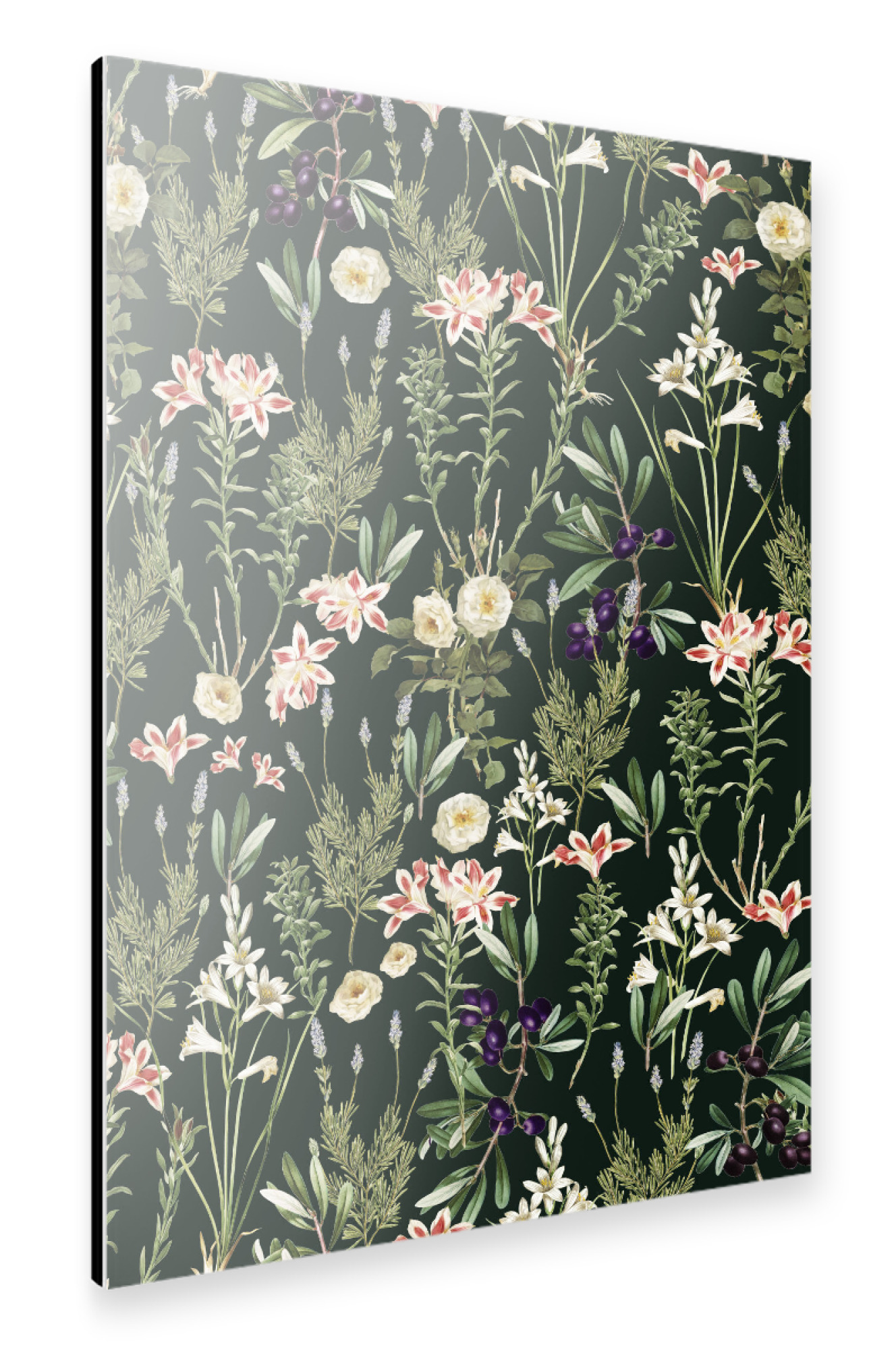 Alu-Dibond "Dark Botanical Garden" 75x50 cm artboxONE