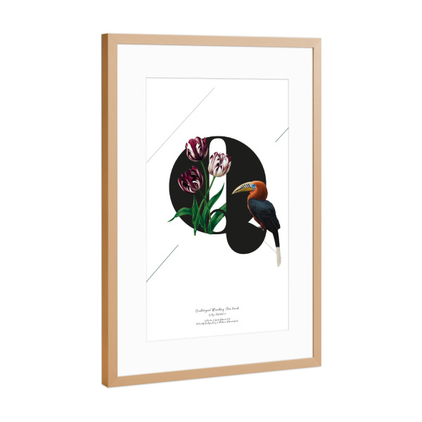 Poster mit Rahmen Kupfer "Botanical Alphabet-Q" artboxONE - Typografie,Buchstaben,Buchstaben / Q