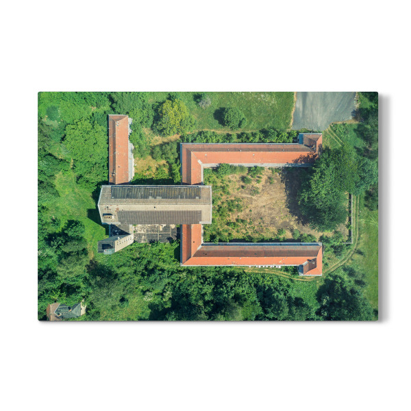 Galerie-Print "Ein Frosch von oben" 30x20 cm artboxONE