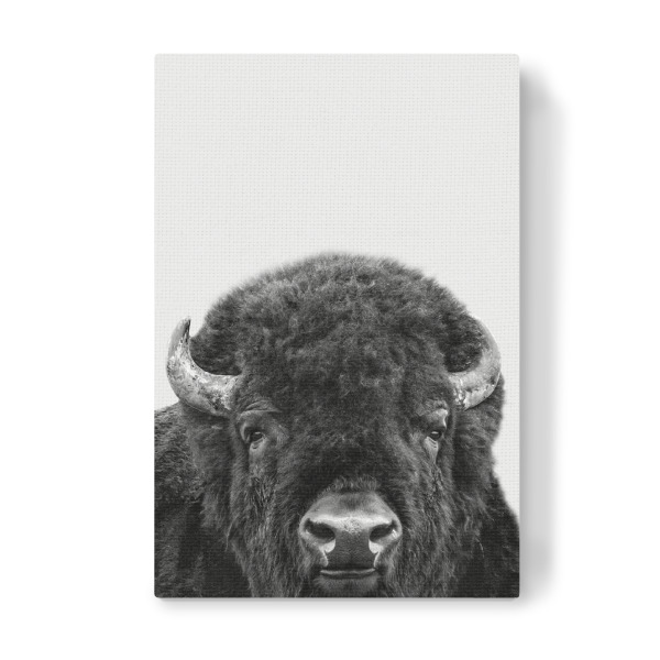 Leinwandbild "BISON, Buffalo" artboxONE - Tiere,Schwarzweiß - Bison