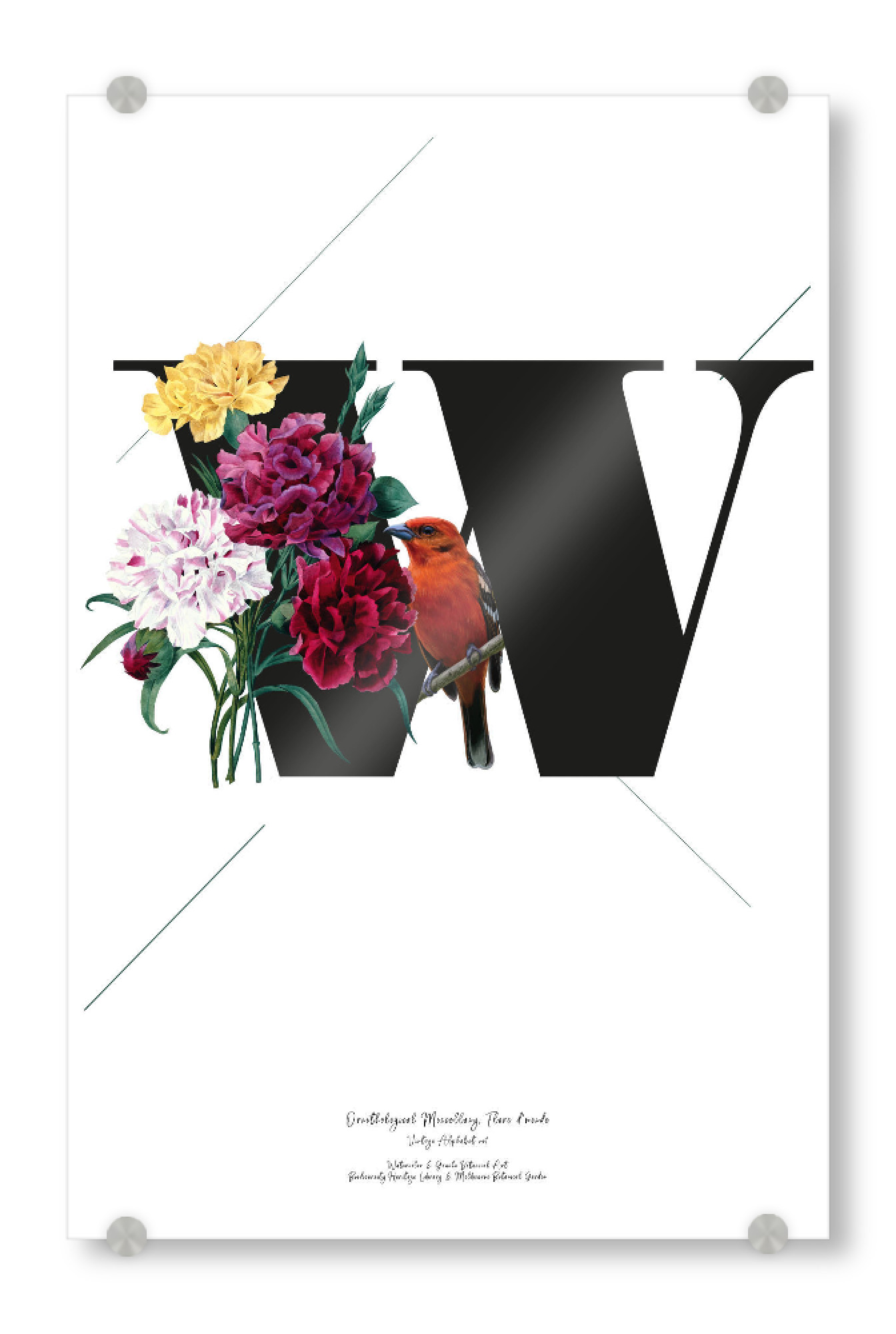 Acrylglasbild "Botanical Alphabet-W" artboxONE - Typografie,Buchstaben,Buchstaben / W