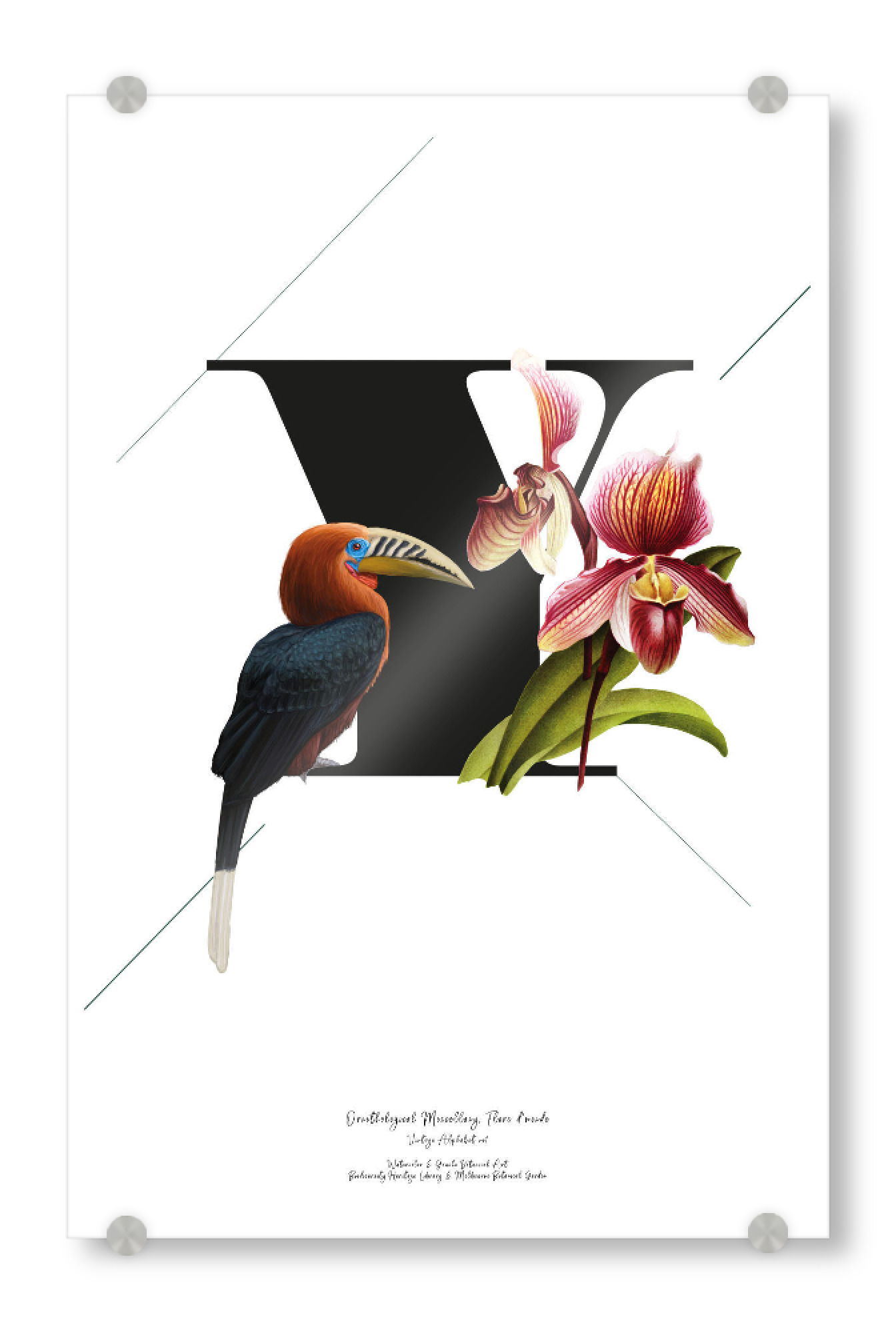 Acrylglasbild "Botanical Alphabet-Y" artboxONE - Buchstaben,Buchstaben / Y