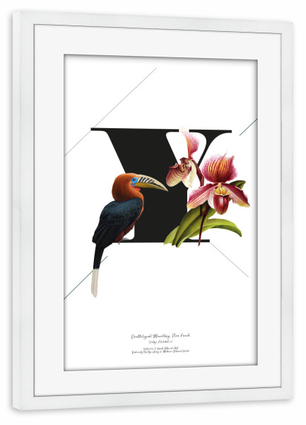 Poster mit Rahmen weiß "Botanical Alphabet-Y" artboxONE - Buchstaben,Buchstaben / Y