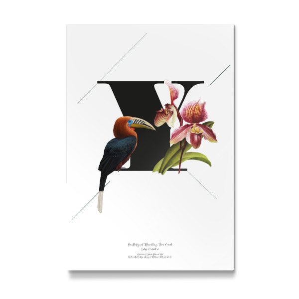 Galerie-Print "Botanical Alphabet-Y" 30x20 cm artboxONE