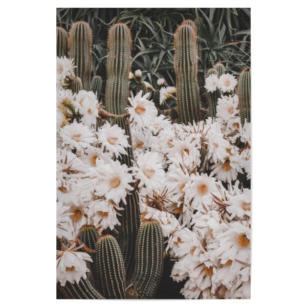 Poster "Illusion of beauty" artboxONE - Floral - Flowers,Cactus