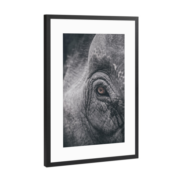 Poster mit Rahmen Schwarz (Metallic) "Deep gaze" artboxONE - Tiere,Schwarzweiß - Rhino,Africa