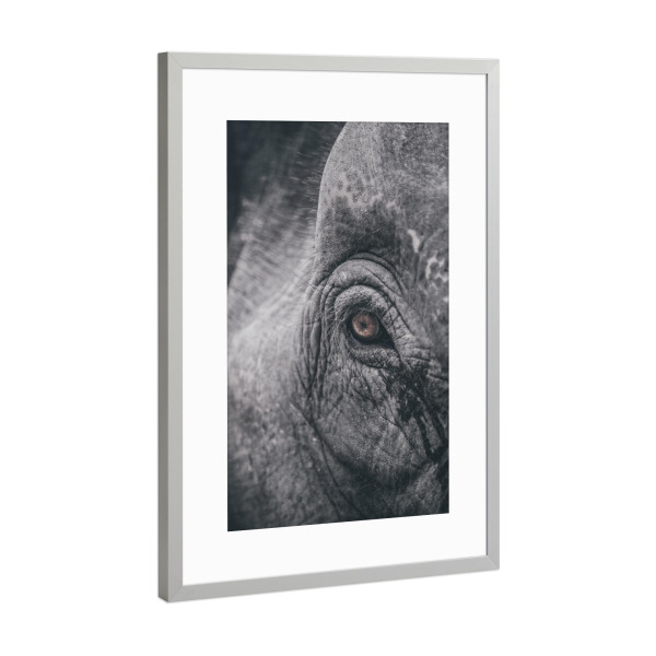 Poster mit Rahmen Silber "Deep gaze" artboxONE - Tiere,Schwarzweiß - Rhino,Africa