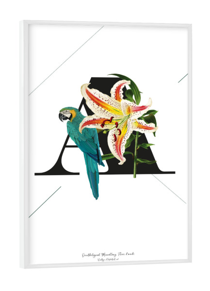 Poster mit weißem Rahmen "Botanical Alphabet-A" artboxONE - Buchstaben,Buchstaben / A