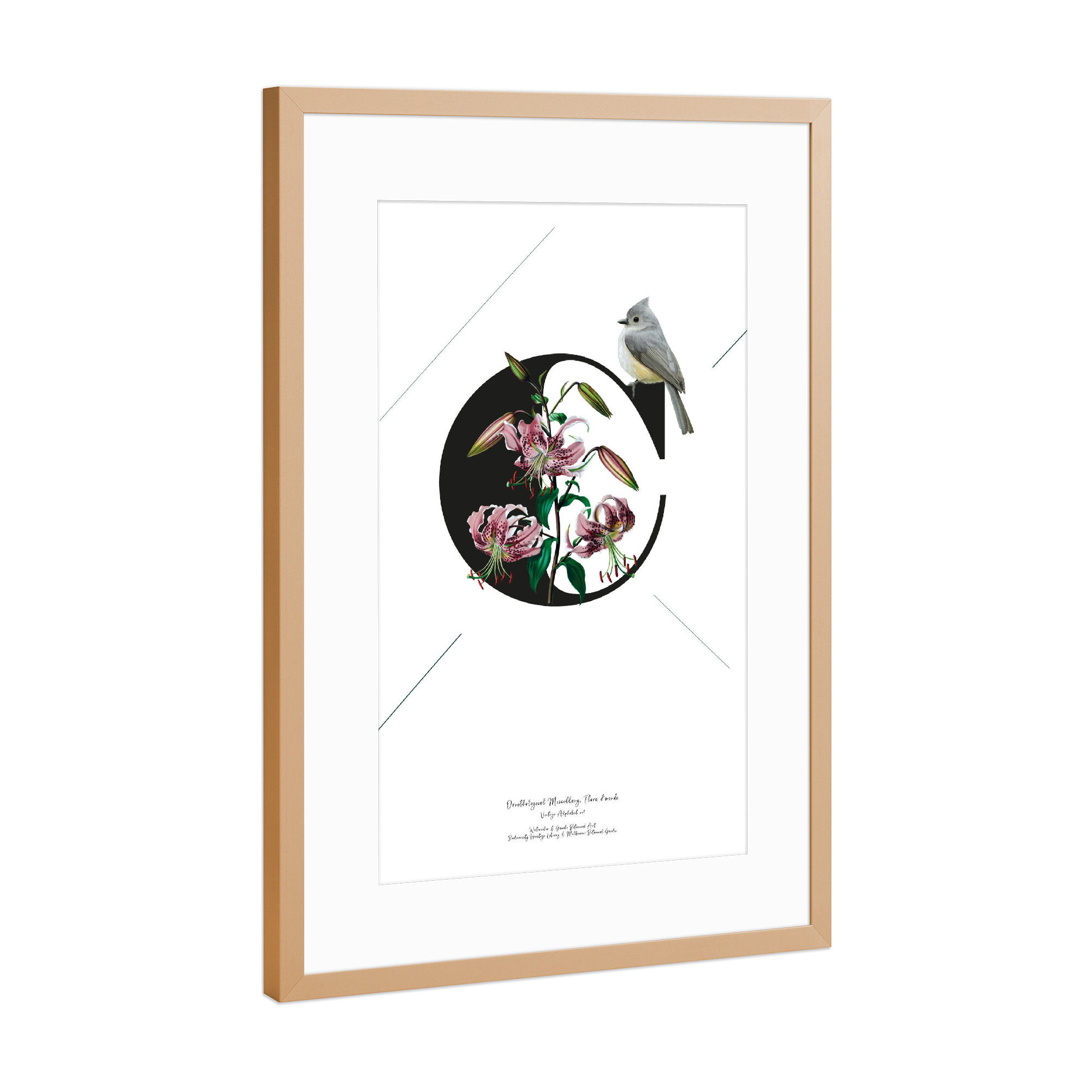 Poster mit Rahmen Kupfer "Botanical Alphabet-C" artboxONE - Buchstaben,Buchstaben / C
