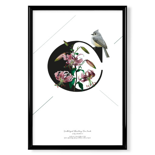 Botanical Alphabet-C