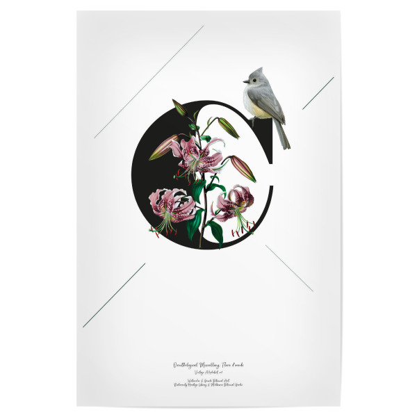 Poster 30x20 cm "Botanical Alphabet-C" artboxONE - Buchstaben,Buchstaben / C