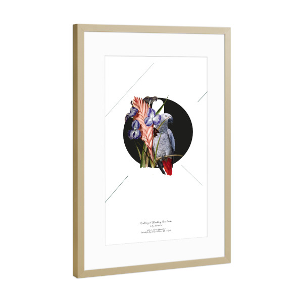 Poster mit Rahmen Gold "Botanical Alphabet-O" artboxONE - Buchstaben,Buchstaben / O