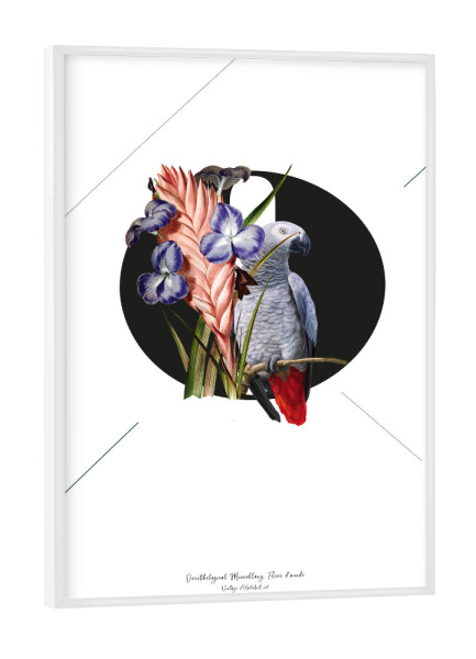 Poster mit weißem Rahmen "Botanical Alphabet-O" artboxONE - Buchstaben,Buchstaben / O