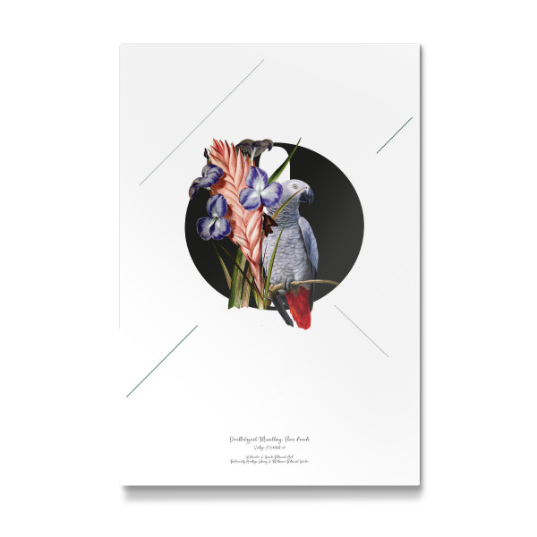 Galerie-Print "Botanical Alphabet-O" 30x20 cm artboxONE