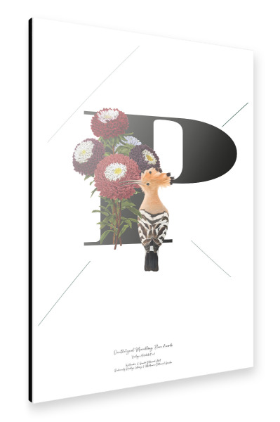 Alu-Dibond "Botanical Alphabet-P" 30x20 cm artboxONE
