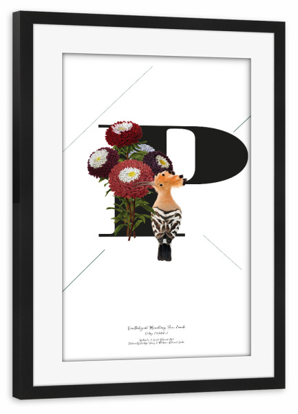 Poster mit Rahmen schwarz "Botanical Alphabet-P" artboxONE - Typografie,Buchstaben,Buchstaben / P