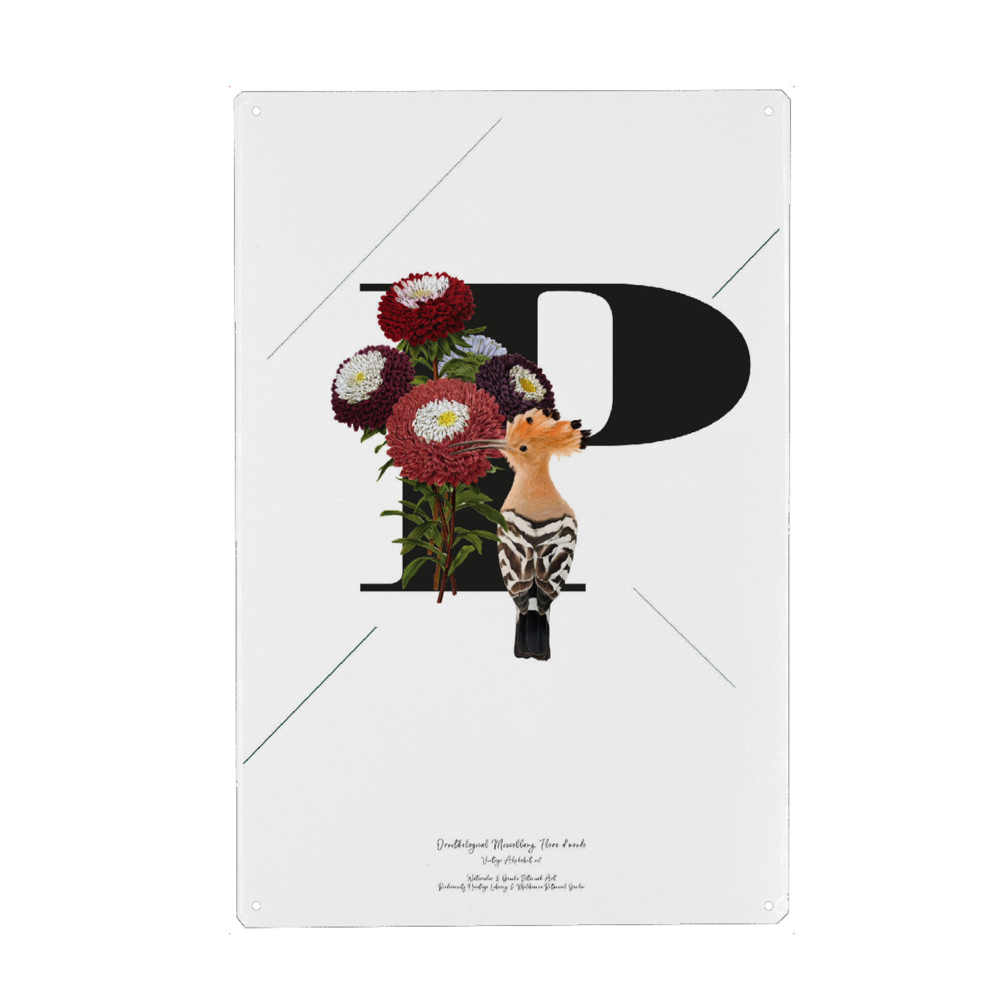 Holzbild "Botanical Alphabet-P" artboxONE - Typografie,Buchstaben,Buchstaben / P